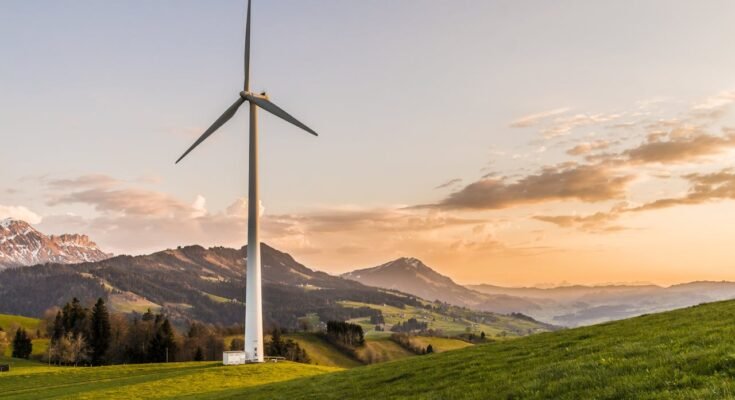The Environment: Its Importance and Preservation